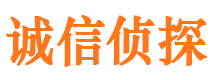 岭东找人公司